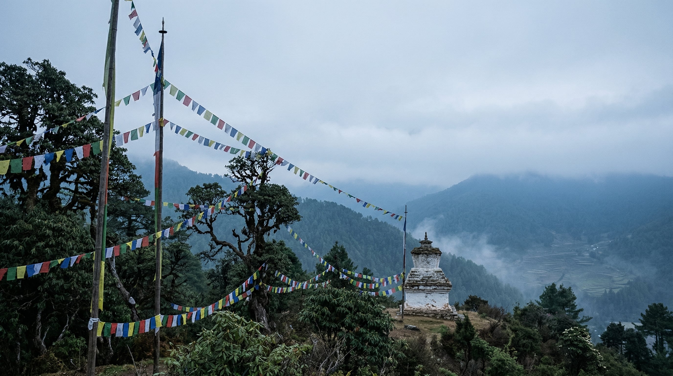 Experiencing a Bhutan Tshechu: An Insider's Guide to Sacred Mask Dances